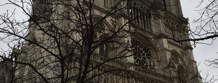 Kathedrale Notre-Dame de Paris is one of Orte, die Oscar gefallen.