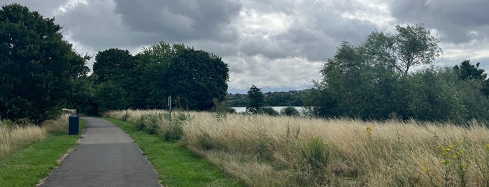 Welsh Harp Reservoir is one of places to check out here in London.