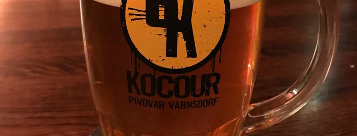 Pivnice U Kocoura is one of Máš chuť na pivo?.