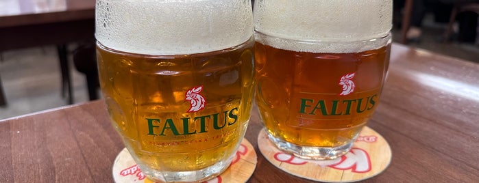 Pivovar Faltus is one of Pivovary ČR - Czech Breweries.