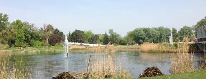 Parque Donau is one of Lugares favoritos de Carl.