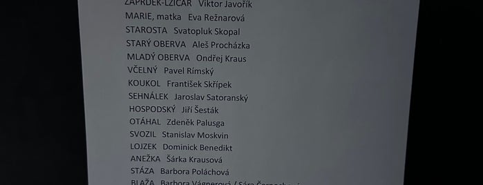 Městské divadlo Brno is one of Posti che sono piaciuti a Radoslav.