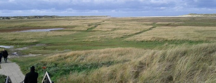 Natuurreservaat De Slufter is one of Fotogenieke plekken NL.