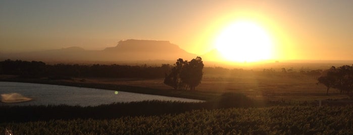 De Grendel Wine Estate is one of South Africa.