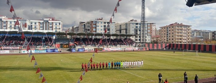 Van Atatürk Şehir Stadyumu is one of สถานที่ที่ K G ถูกใจ.
