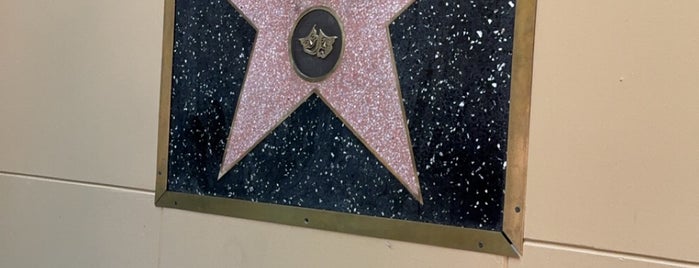 Muhammad Ali's Star is one of LA Trip.