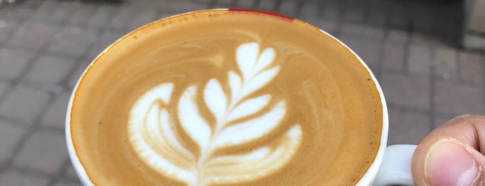 Hailed Coffee is one of The 15 Best Places for Cappuccinos in Toronto.