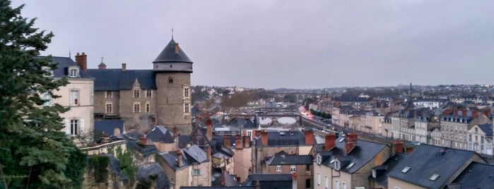 Vieux-Château de Laval is one of Monuments historiques.