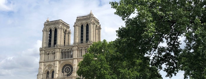 Cathédrale Notre-Dame de Paris is one of Lieux qui ont plu à V͜͡l͜͡a͜͡d͜͡y͜͡S͜͡l͜͡a͜͡v͜͡a͜͡.
