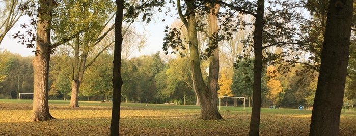 Erasmuspark is one of Kinderdingen.