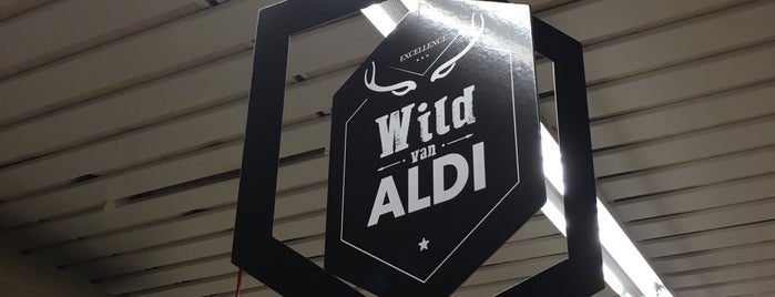 ALDI is one of Tempat yang Disukai Theo.