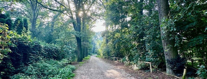 Grunewald is one of Berlin.