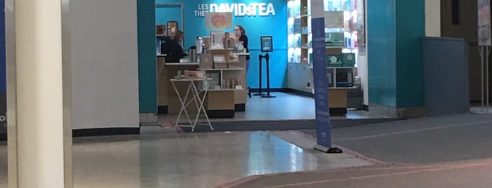 DAVIDsTEA is one of A lot There.