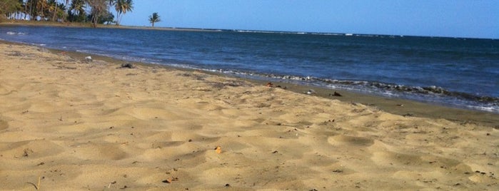 Punta Guilarte is one of Puerto Rican Beaches.
