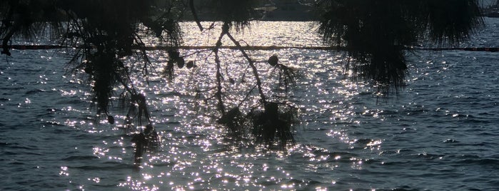 Cennet Koyu Marmaris is one of สถานที่ที่ Dr.Gökhan ถูกใจ.