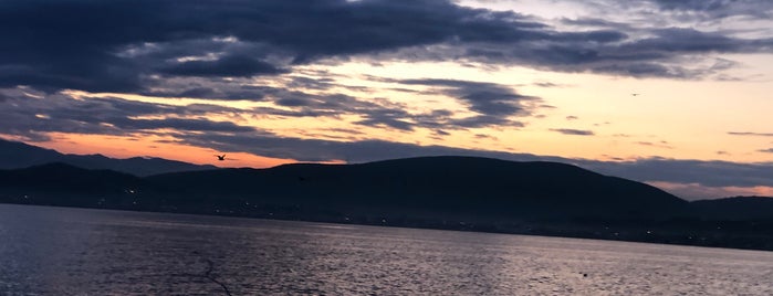 Urla Afet-Acil Eğitim Uygulama ve Simülasyon Merkezi is one of Dr.Gökhan’s Liked Places.