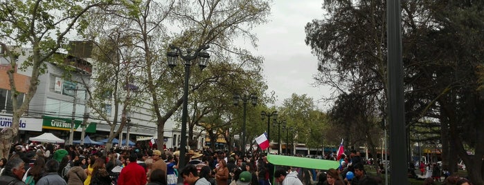 Plaza de Armas is one of mis lugares.