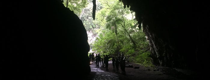 Cueva del Guacharo (Monumento Natural Alejandro Humboldt) is one of Turismo.