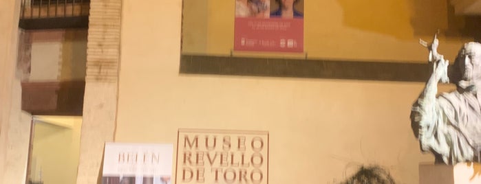 Museo Revello de Toro is one of ES-AGP.