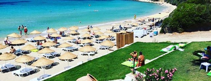 Fame Beach is one of Lugares favoritos de Ayca.