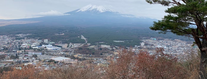 Mt. Fuji Panoramic Ropeway is one of Orte, die Afil gefallen.