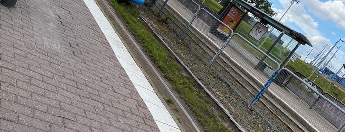 Hållplats Frihamnen (S) is one of Tram stops of Gothenburg.