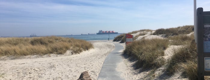 Skagen Strand is one of To see.
