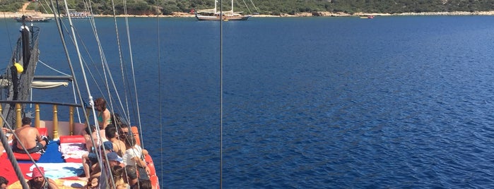 Barbaros Yachting is one of Bodrum.