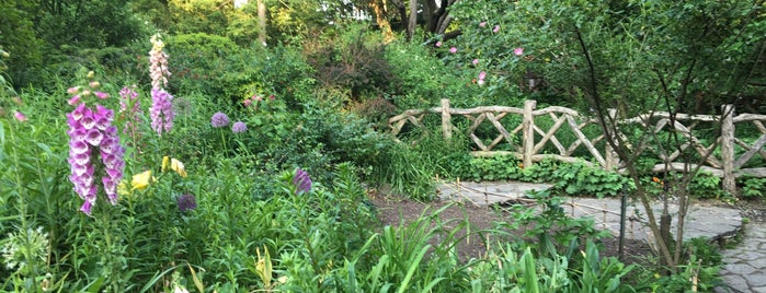 Shakespeare Garden is one of An Amateur Botanist's Guide to Local Gardens.
