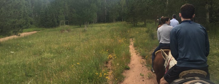 Pike National Forest is one of Denver Sites.