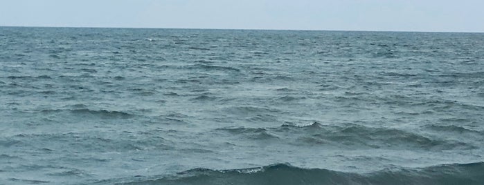 Lake Michigan Beach is one of Tempat yang Disukai Karl.