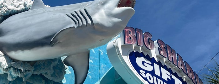 Big Shark Gifts is one of The 15 Best Places for Crab in Daytona Beach.