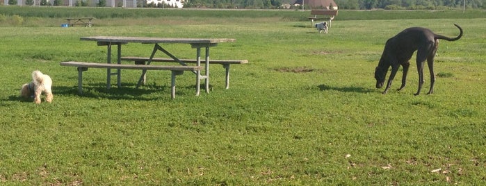 Mitchell Park Dog Exercise Area is one of Tempat yang Disukai Sharon.