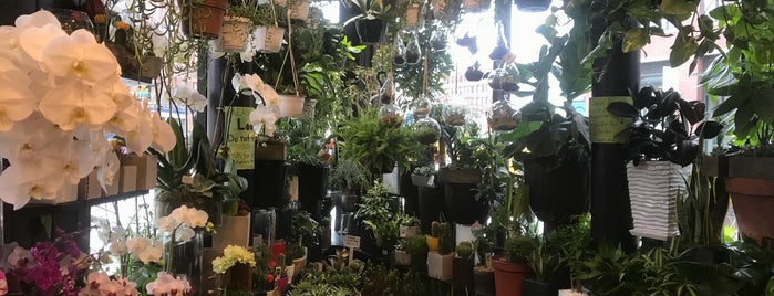 West Village Florist is one of NYC To-Do.