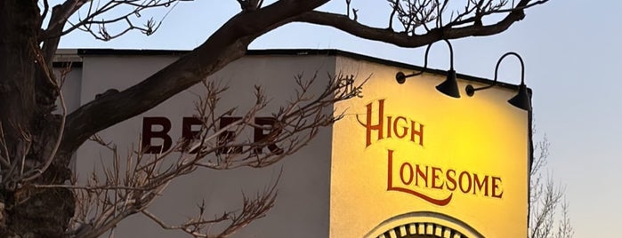 The High Lonesome is one of The 9 Best Dive Bars in Denver.