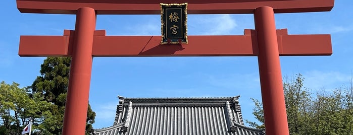 梅宮大社 is one of #4sqCities Kyoto.