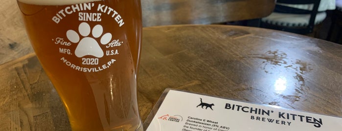 Bitchin’ Kitten Brewery is one of PA Breweries.