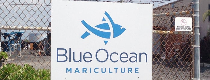 Blue Ocean Mariculture is one of Hawai‘i.