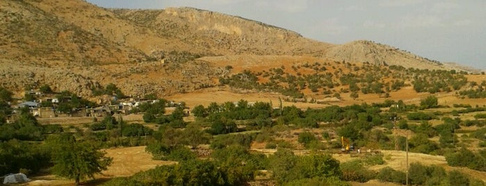Pamuklu Köyü is one of สถานที่ที่ Niko ถูกใจ.
