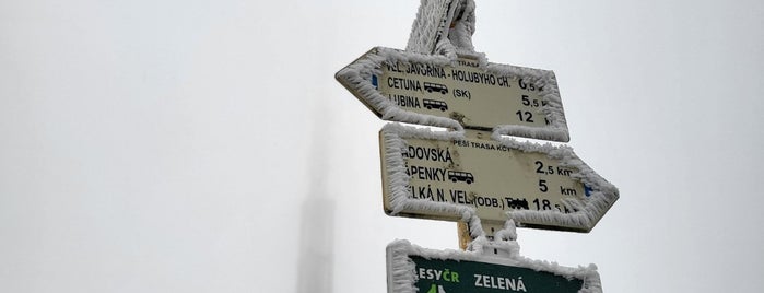 Veľká Javorina is one of Summits.