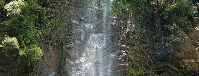 Trail to Secret Falls (Uluwehi Secret Falls) is one of สถานที่ที่ Zoe ถูกใจ.