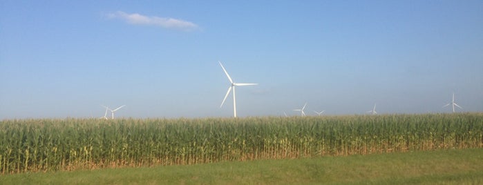 Windmill Farm on 47 is one of The trip from the STC to UIUC..