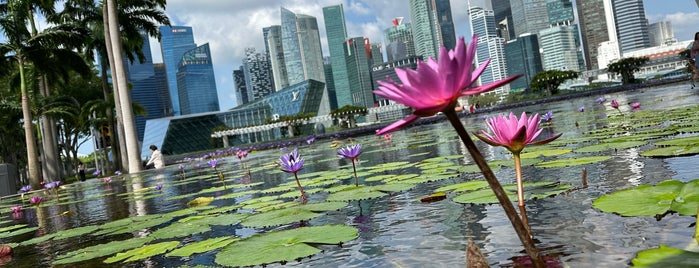 Marina Bay Waterfront Promenade is one of Singapore Visit.