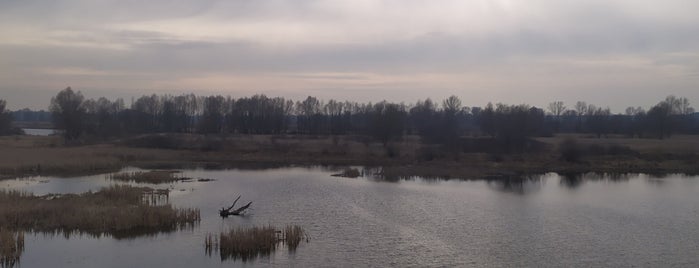 Солонецкое Озеро is one of Lugares favoritos de Андрей.