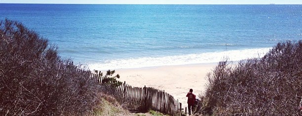 Montauk Beach is one of Nearby Trips.