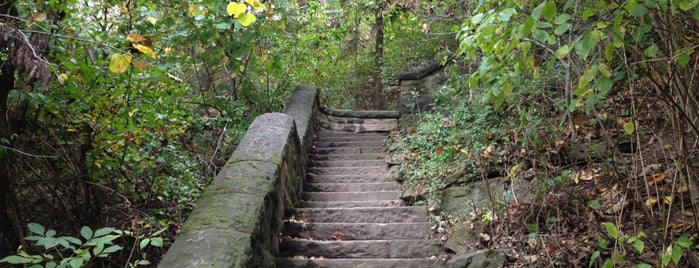 Schenley Park is one of Favorite Places In/Around Pittsburgh, PA #VisitUS.