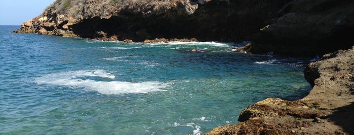 Channel Islands National Park is one of LA Must Do's.