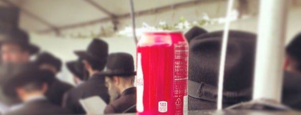 Ohel Chabad is one of new york.