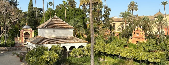 Real Alcázar de Sevilla is one of Orte, die James gefallen.