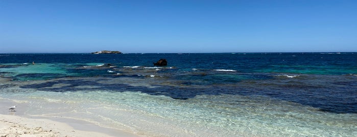 Rottnest Island is one of Tempat yang Disukai James.